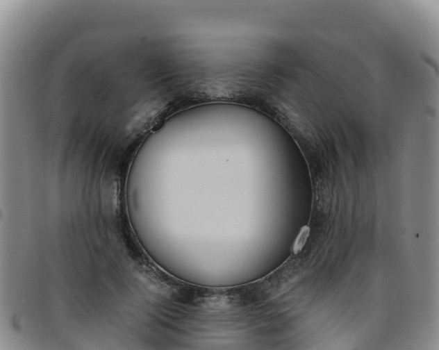 X0000096460740200801311511