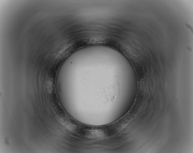 X0000096460741200801311511