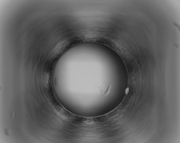 X0000096460742200801311511