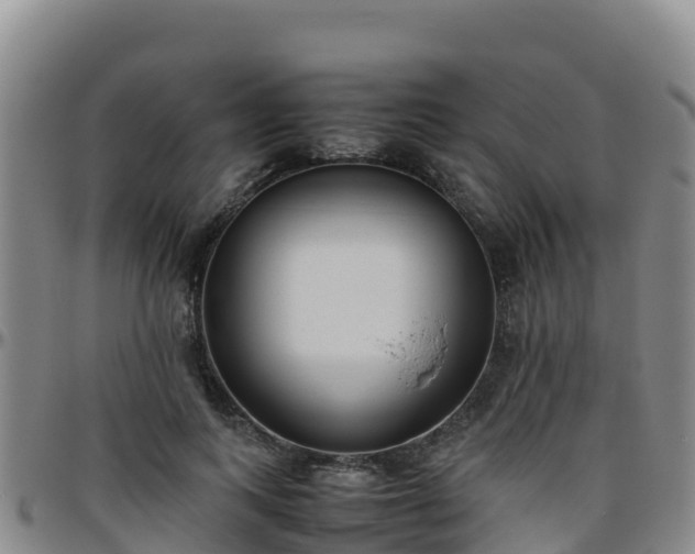 X0000096460743200801311511