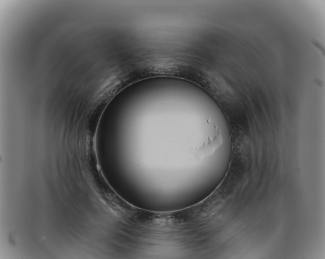 X0000096460744200801311512