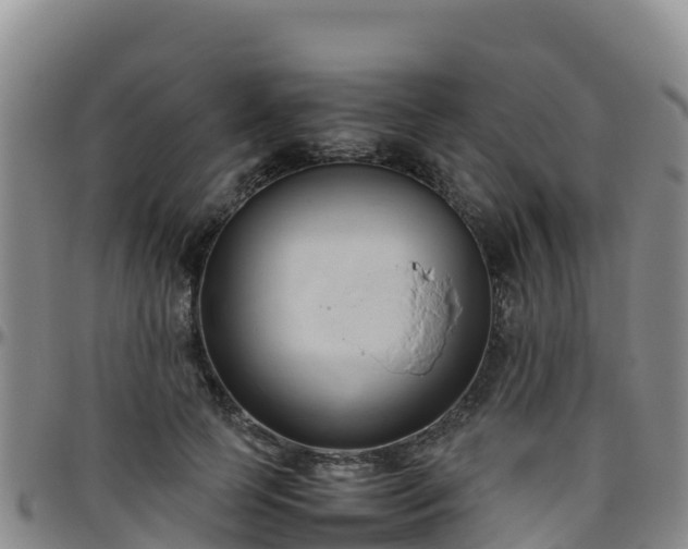 X0000096460745200801311512
