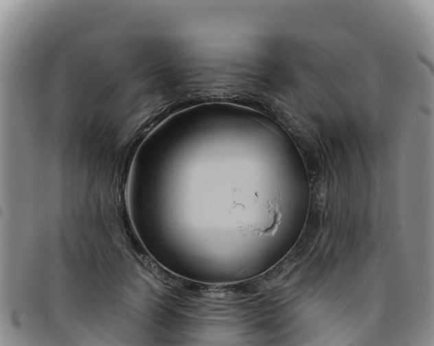 X0000096460746200801311512