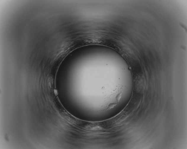 X0000096460747200801311512