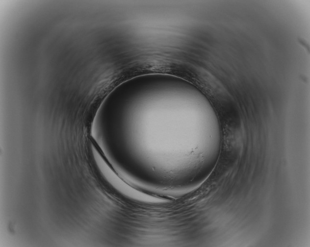 X0000096460748200801311512
