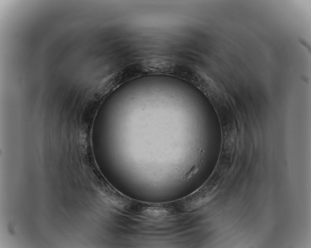 X0000096460749200801311512