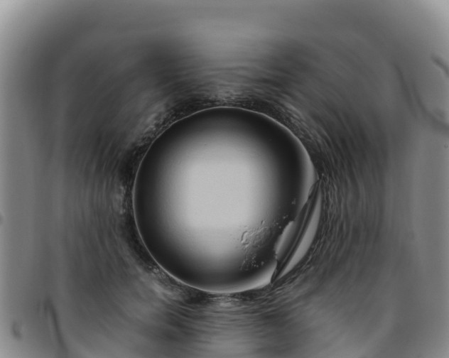 X0000096460750200801311512