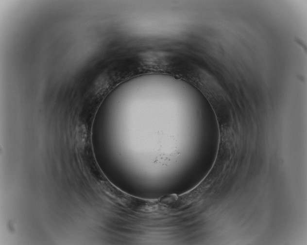 X0000096460752200801311512