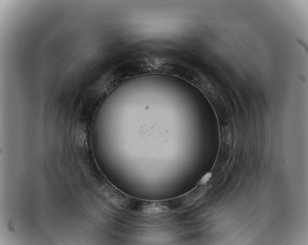 X0000096460754200801311512