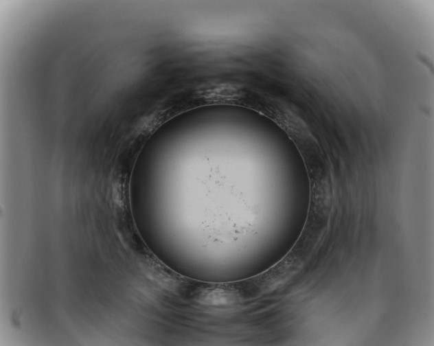 X0000096460755200801311512