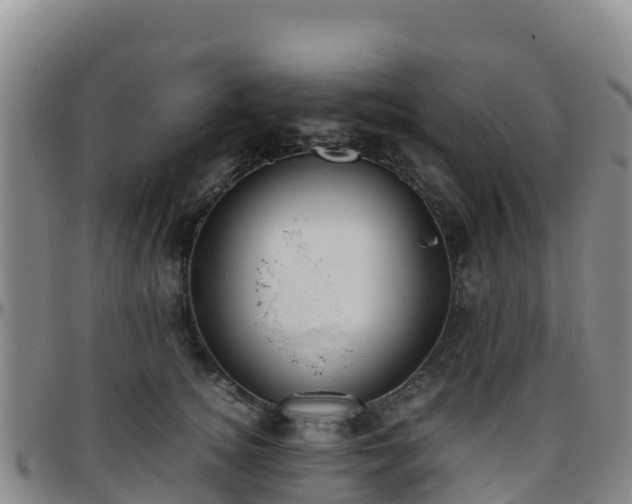 X0000096460756200801311512