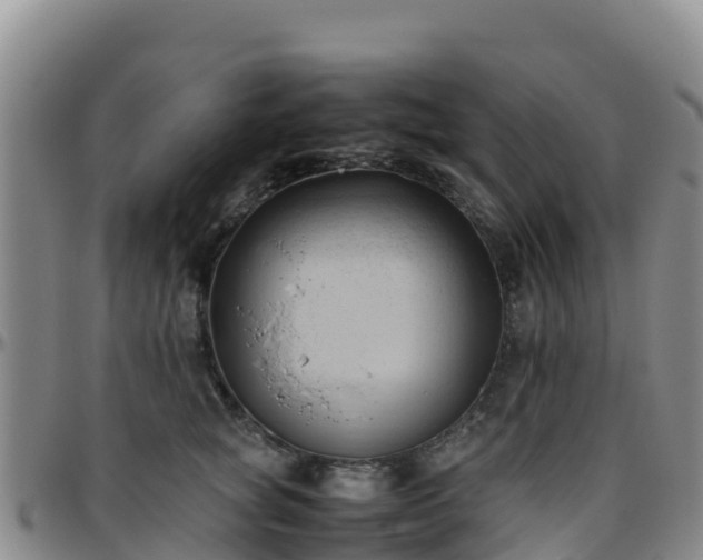 X0000096460757200801311512
