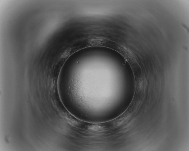 X0000096460759200801311512