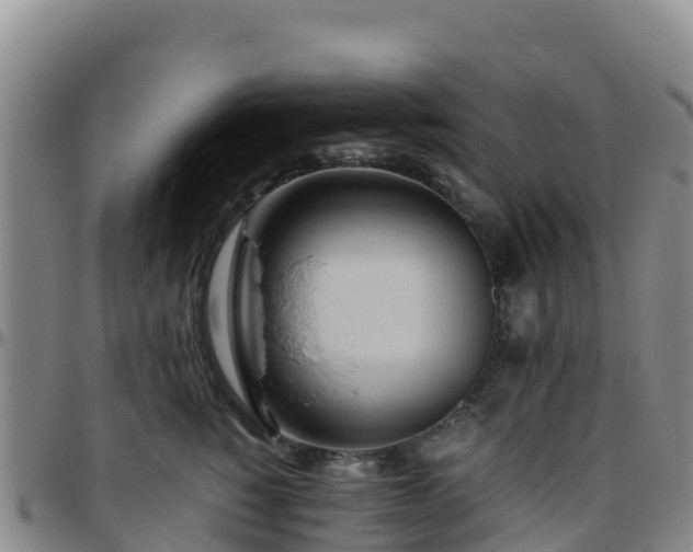 X0000096460760200801311512