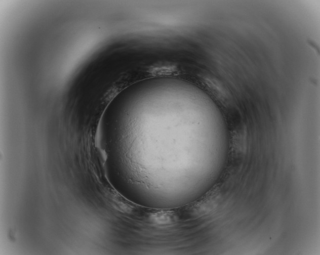 X0000096460761200801311512