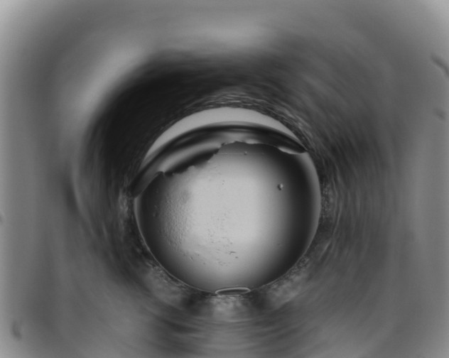 X0000096460762200801311512