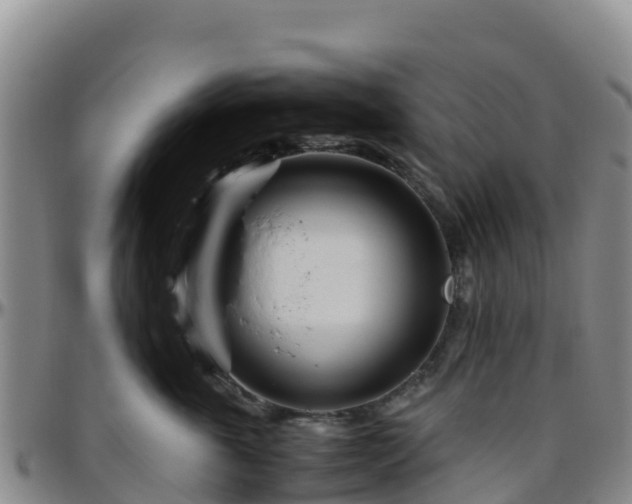 X0000096460763200801311512