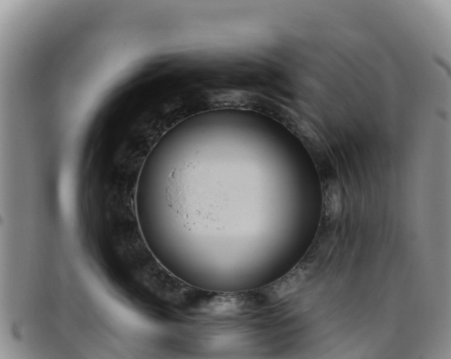 X0000096460764200801311512