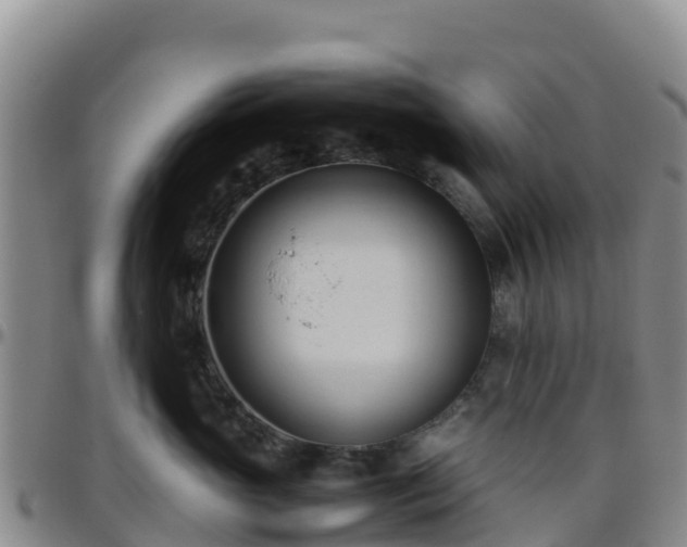 X0000096460765200801311512