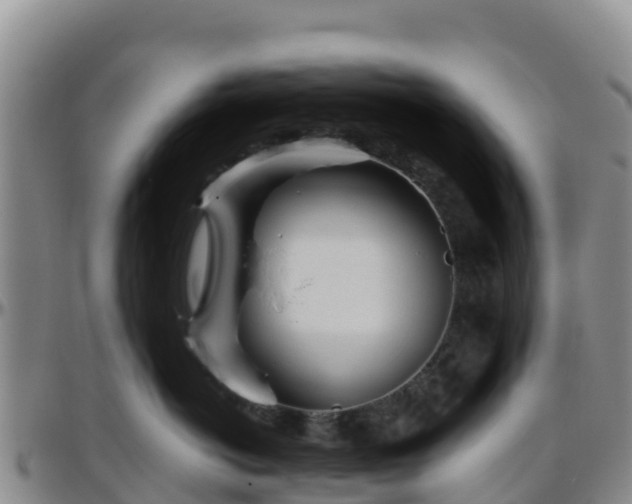 X0000096460766200801311512