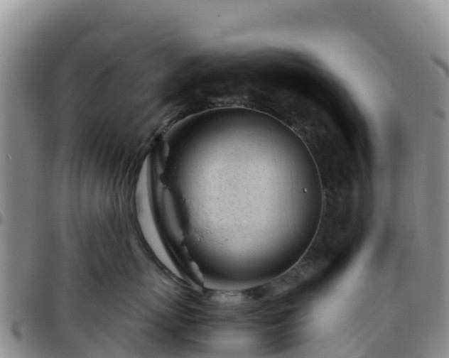 X0000096460767200801311512