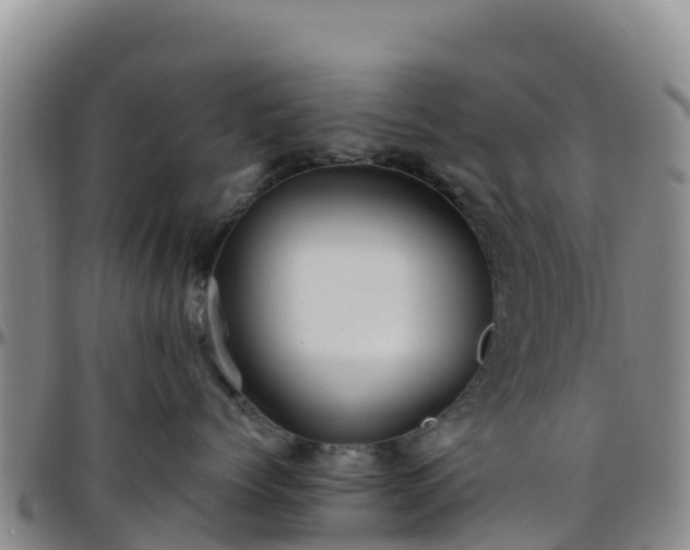 X0000096460768200801311512