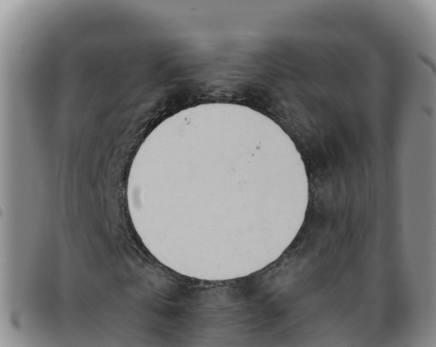 X0000096460769200801311511