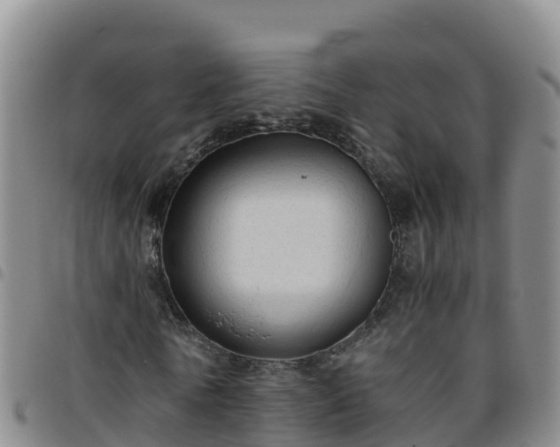 X0000096460770200801311511