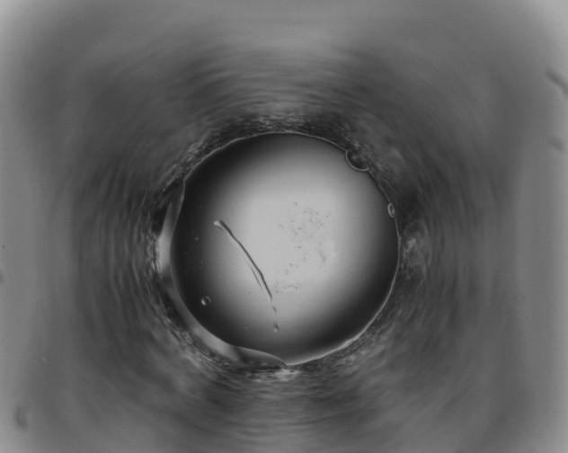 X0000096460772200801311511