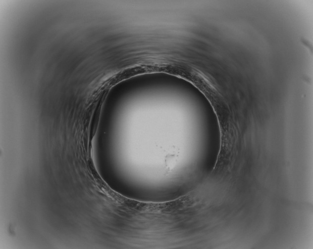 X0000096460773200801311511