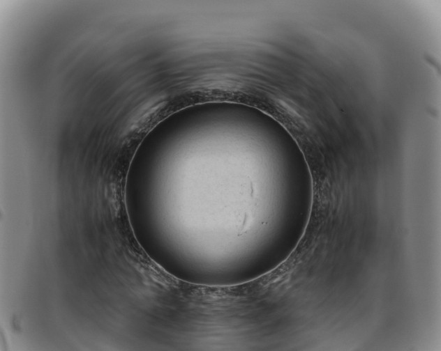 X0000096460774200801311511