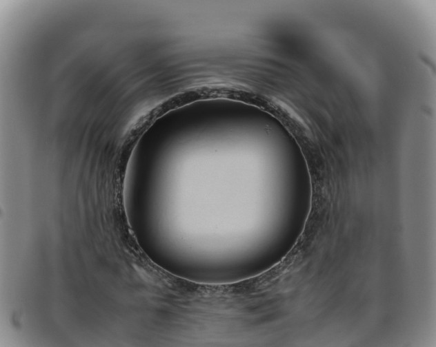 X0000096460775200801311511