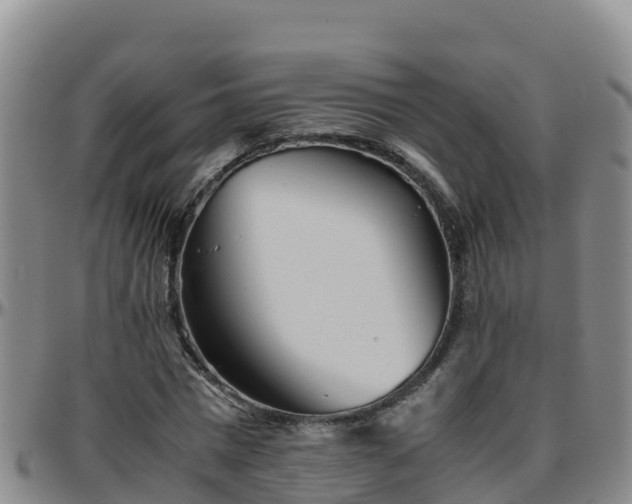 X0000096460777200801311511