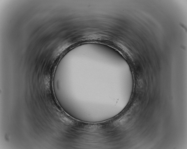 X0000096460778200801311511