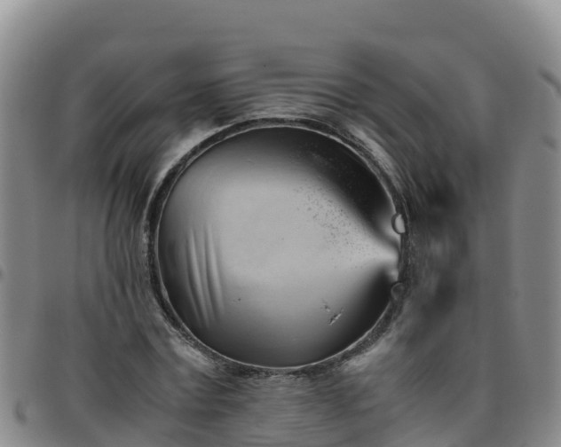 X0000096460779200801311511