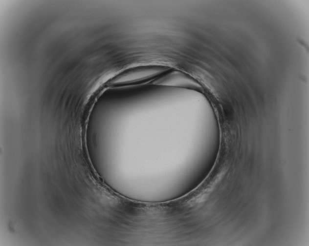 X0000096460781200801311511