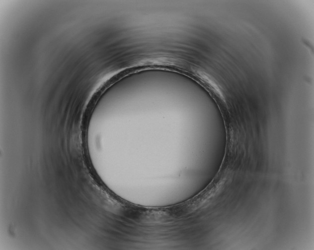 X0000096460784200801311511