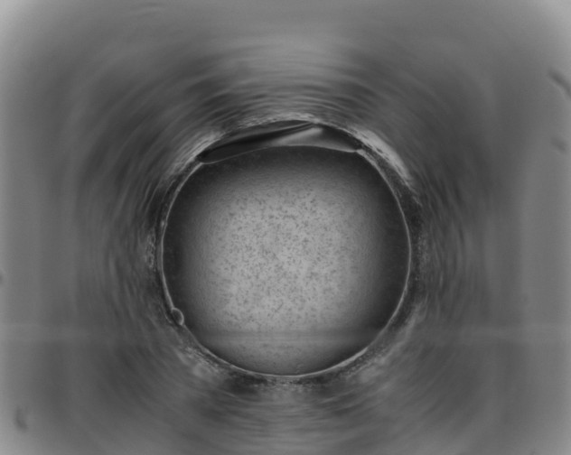 X0000096460785200801311511