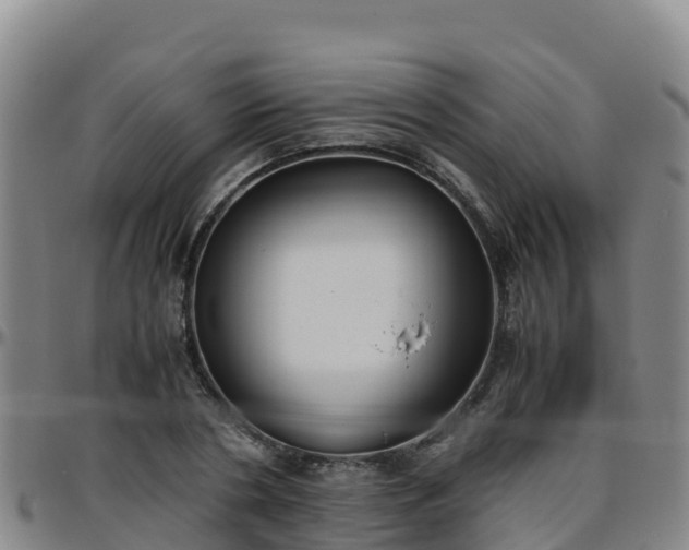 X0000096460786200801311511