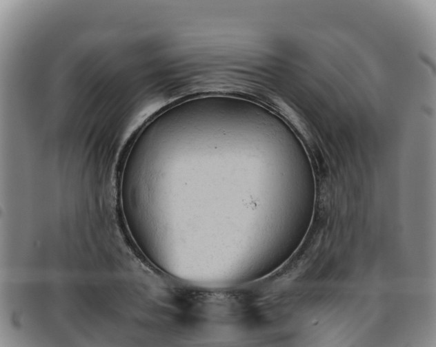 X0000096460787200801311511