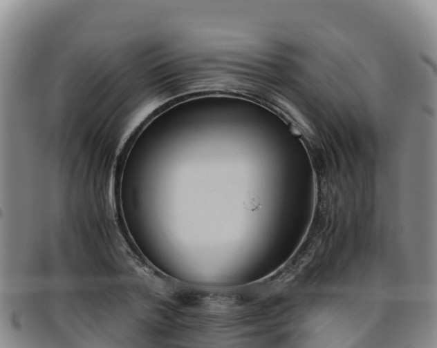 X0000096460788200801311511