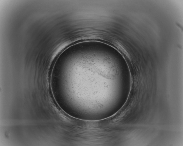 X0000096460789200801311511