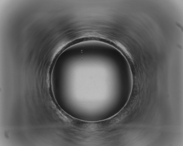 X0000096460791200801311511