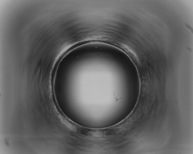 X0000096460792200801311511
