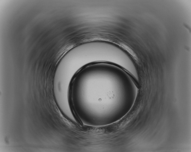 X0000096460793200801311511