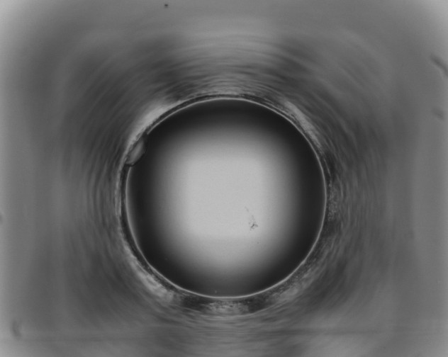 X0000096460795200801311511