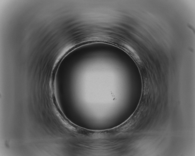 X0000096460796200801311511