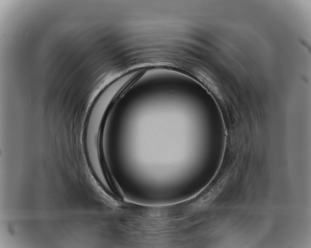 X0000096460797200801311511