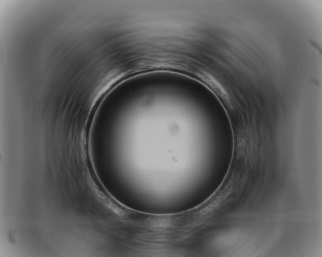 X0000096460798200801311511
