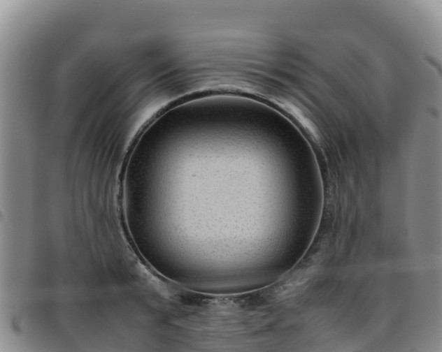 X0000096460799200801311511